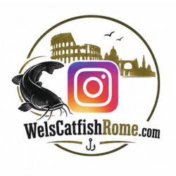 Instagram WelsCatfishRome