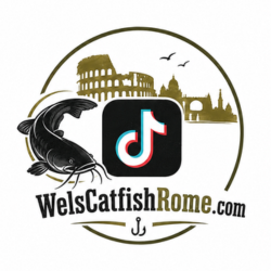 TikTok WelsCatfishRome